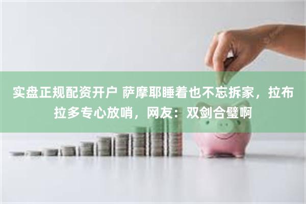 实盘正规配资开户 萨摩耶睡着也不忘拆家，拉布拉多专心放哨，网友：双剑合璧啊