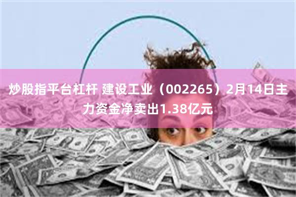 炒股指平台杠杆 建设工业（002265）2月14日主力资金净卖出1.38亿元