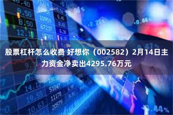 股票杠杆怎么收费 好想你（002582）2月14日主力资金净卖出4295.76万元