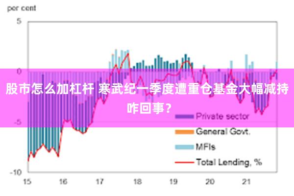 股市怎么加杠杆 寒武纪一季度遭重仓基金大幅减持 咋回事？