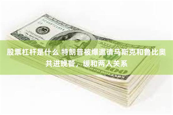 股票杠杆是什么 特朗普被爆邀请马斯克和鲁比奥共进晚餐，缓和两人关系