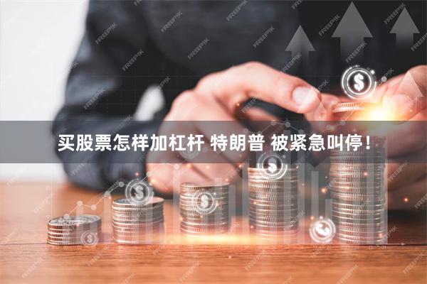 买股票怎样加杠杆 特朗普 被紧急叫停！