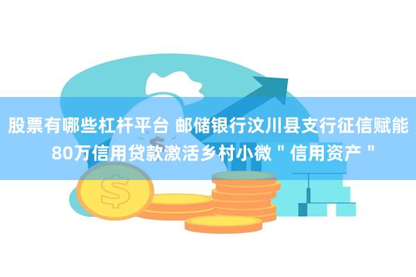 股票有哪些杠杆平台 邮储银行汶川县支行征信赋能  80万信用贷款激活乡村小微＂信用资产＂