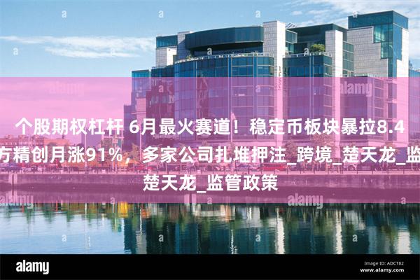 个股期权杠杆 6月最火赛道！稳定币板块暴拉8.4%，四方精创月涨91%，多家公司扎堆押注_跨境_楚天龙_监管政策