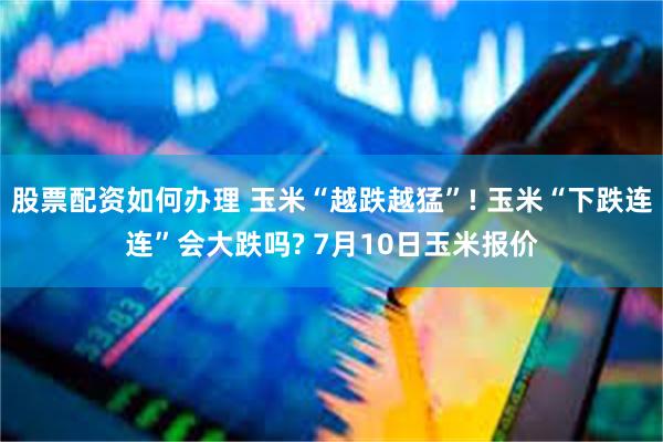 股票配资如何办理 玉米“越跌越猛”! 玉米“下跌连连”会大跌吗? 7月10日玉米报价