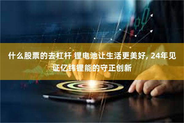 什么股票的去杠杆 锂电池让生活更美好, 24年见证亿纬锂能的守正创新