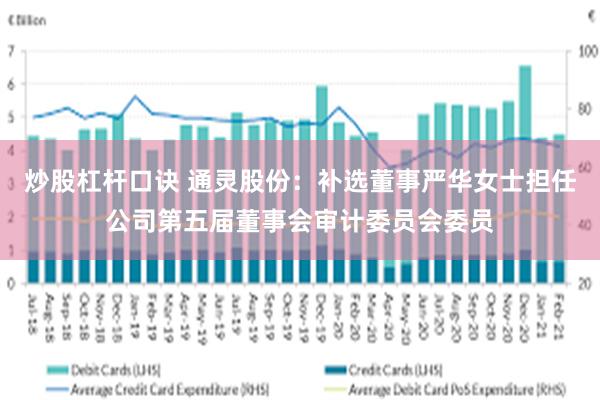 炒股杠杆口诀 通灵股份：补选董事严华女士担任公司第五届董事会审计委员会委员
