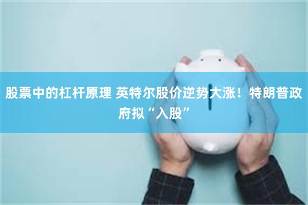股票中的杠杆原理 英特尔股价逆势大涨！特朗普政府拟“入股”