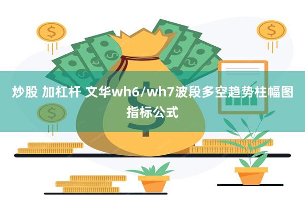 炒股 加杠杆 文华wh6/wh7波段多空趋势柱幅图指标公式