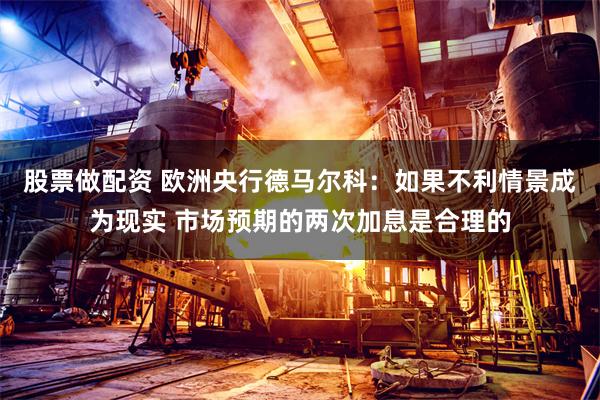 股票做配资 欧洲央行德马尔科：如果不利情景成为现实 市场预期的两次加息是合理的