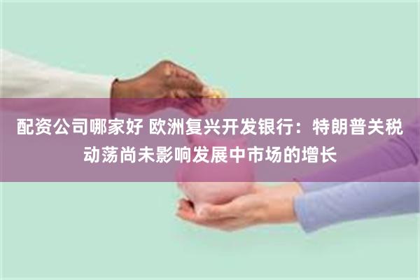 配资公司哪家好 欧洲复兴开发银行：特朗普关税动荡尚未影响发展中市场的增长