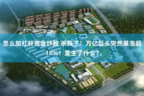 怎么加杠杆资金炒股 杀疯了！万亿巨头突然暴涨超18%！发生了什么？