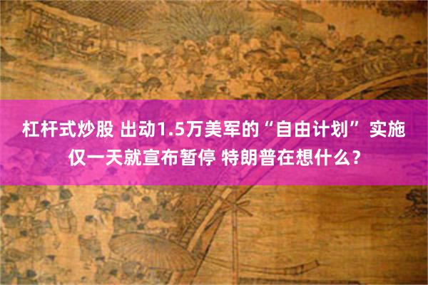 杠杆式炒股 出动1.5万美军的“自由计划” 实施仅一天就宣布暂停 特朗普在想什么？