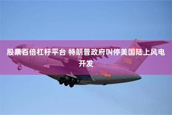 股票百倍杠杆平台 特朗普政府叫停美国陆上风电开发