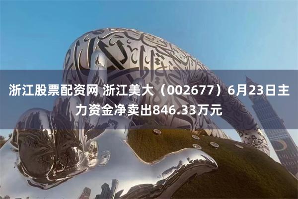 浙江股票配资网 浙江美大（002677）6月23日主力资金净卖出846.33万元