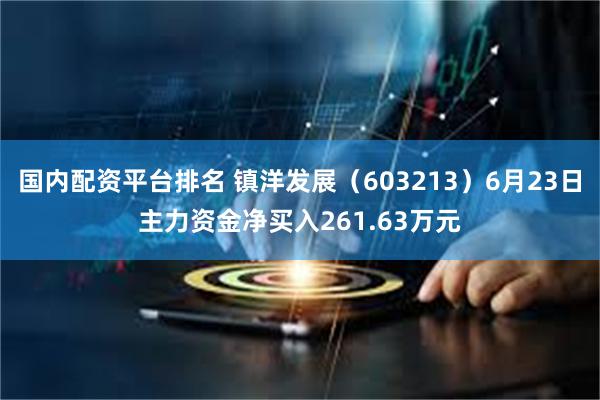 国内配资平台排名 镇洋发展（603213）6月23日主力资金净买入261.63万元
