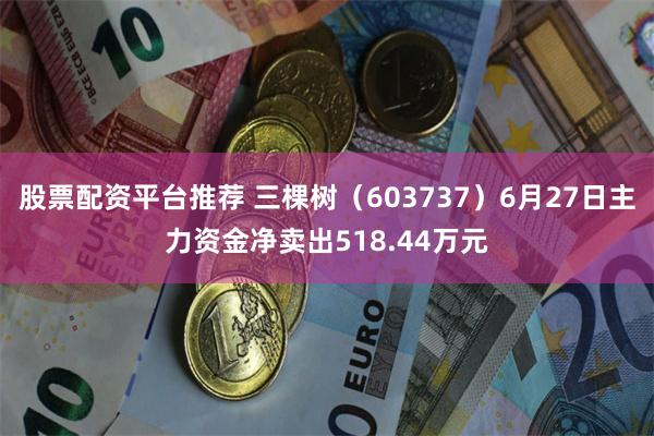 股票配资平台推荐 三棵树(603737)6月27日主力资金净卖出518.44万元