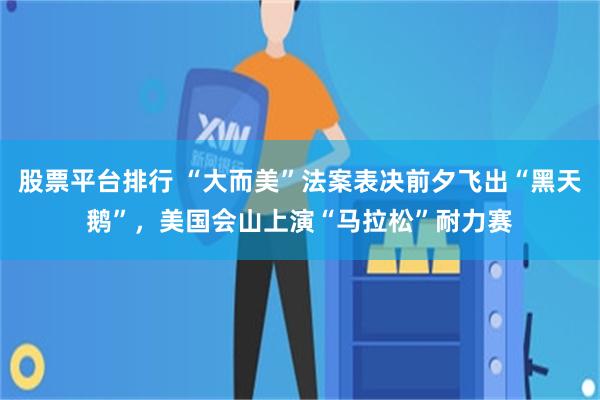 股票平台排行 “大而美”法案表决前夕飞出“黑天鹅”，美国会山上演“马拉松”耐力赛