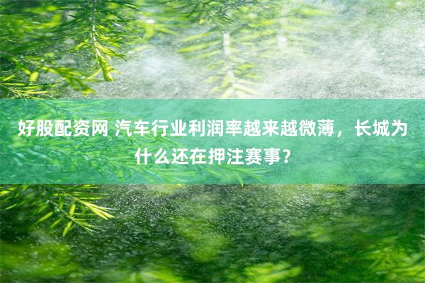 好股配资网 汽车行业利润率越来越微薄，长城为什么还在押注赛事？