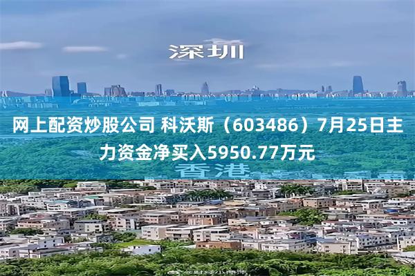 网上配资炒股公司 科沃斯(603486)7月25日主力资金净买入5950.77万元