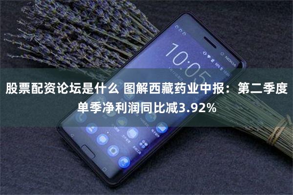 股票配资论坛是什么 图解西藏药业中报：第二季度单季净利润同比减3.92%