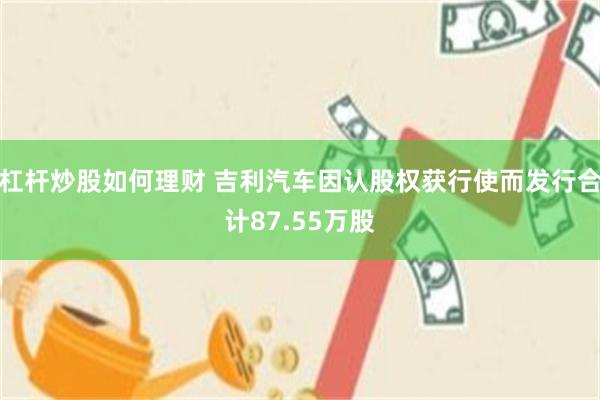 杠杆炒股如何理财 吉利汽车因认股权获行使而发行合计87.55万股