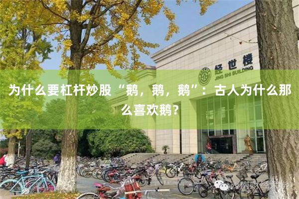 为什么要杠杆炒股 “鹅，鹅，鹅”：古人为什么那么喜欢鹅？