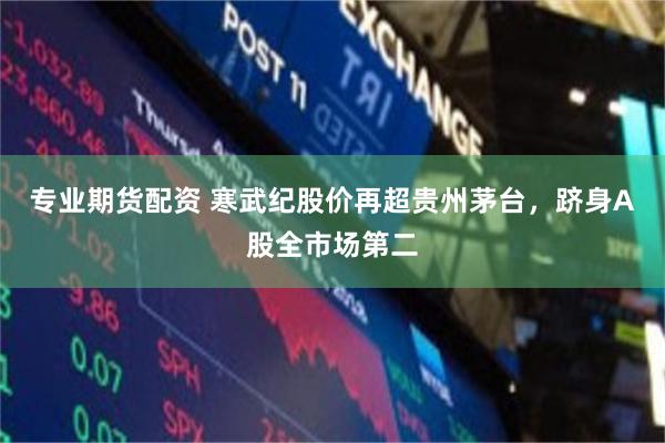专业期货配资 寒武纪股价再超贵州茅台，跻身A股全市场第二