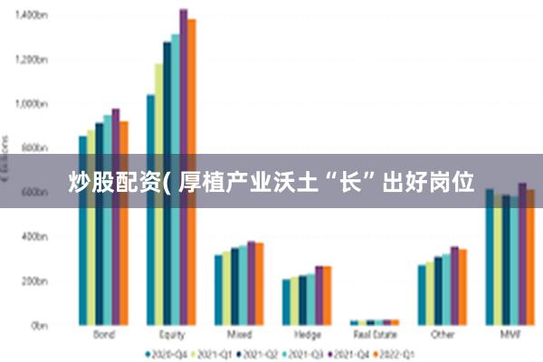 炒股配资( 厚植产业沃土“长”出好岗位