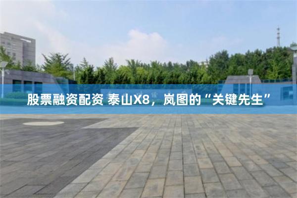 股票融资配资 泰山X8,岚图的“关键先生”