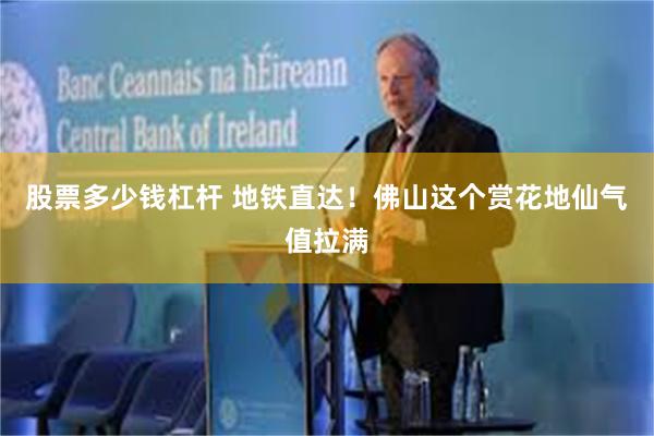 股票多少钱杠杆 地铁直达！佛山这个赏花地仙气值拉满