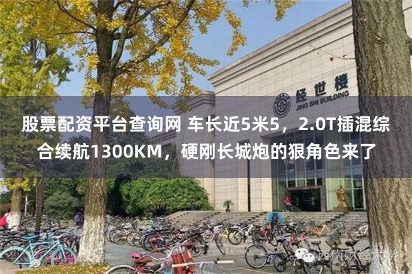 股票配资平台查询网 车长近5米5，2.0T插混综合续航1300KM，硬刚长城炮的狠角色来了