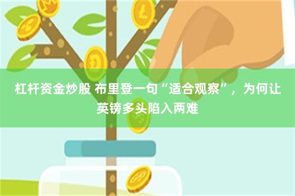 杠杆资金炒股 布里登一句“适合观察”，为何让英镑多头陷入两难