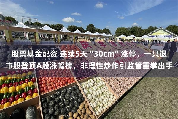 股票基金配资 连续5天“30cm”涨停,一只退市股登顶A股涨幅榜,非理性炒作引监管重拳出手