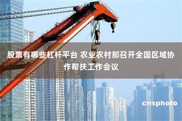 股票有哪些杠杆平台 农业农村部召开全国区域协作帮扶工作会议