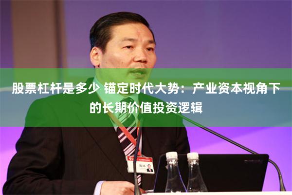 股票杠杆是多少 锚定时代大势：产业资本视角下的长期价值投资逻辑