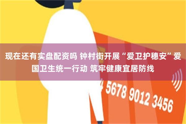 现在还有实盘配资吗 钟村街开展“爱卫护穗安”爱国卫生统一行动 筑牢健康宜居防线