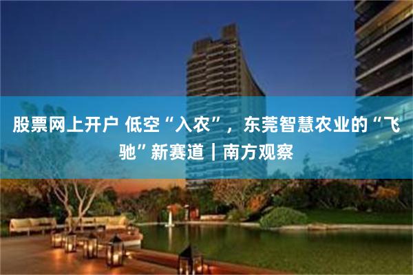 股票网上开户 低空“入农”，东莞智慧农业的“飞驰”新赛道｜南方观察