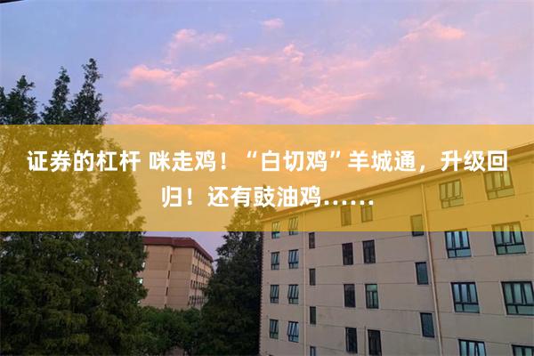 证券的杠杆 咪走鸡！“白切鸡”羊城通，升级回归！还有豉油鸡……