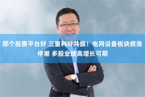 那个股票平台好 三重利好共振！电网设备板块掀涨停潮 多股业绩高增长可期