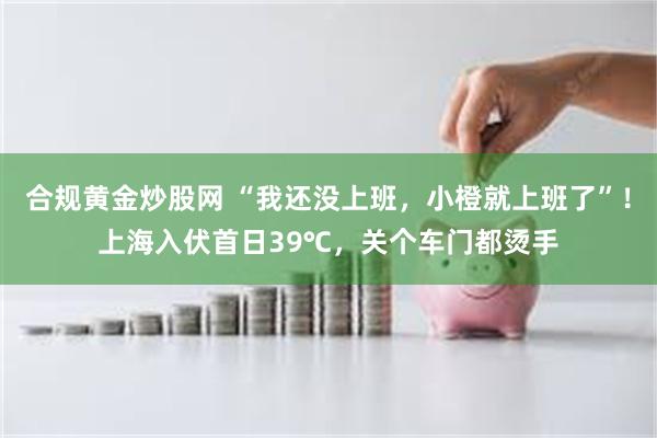 合规黄金炒股网 “我还没上班，小橙就上班了”！上海入伏首日39℃，关个车门都烫手