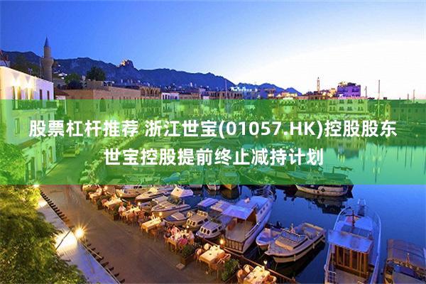 股票杠杆推荐 浙江世宝(01057.HK)控股股东世宝控股提前终止减持计划