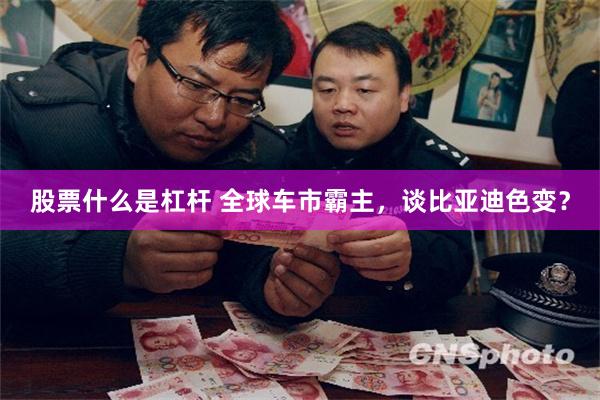 股票什么是杠杆 全球车市霸主，谈比亚迪色变？