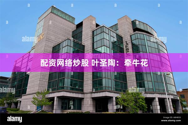 配资网络炒股 叶圣陶：牵牛花