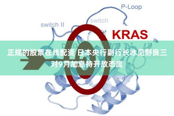 正规的股票在线配资 日本央行副行长冰见野良三对9月加息持开放态度