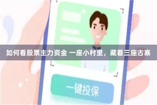如何看股票主力资金 一座小村里，藏着三座古寨