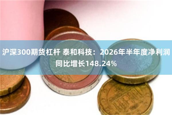 沪深300期货杠杆 泰和科技：2026年半年度净利润同比增长148.24%