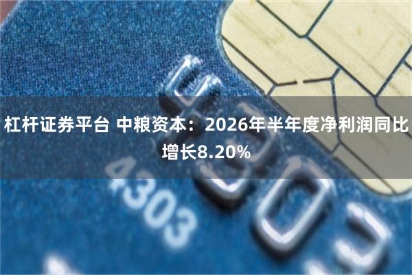 杠杆证券平台 中粮资本：2026年半年度净利润同比增长8.20%
