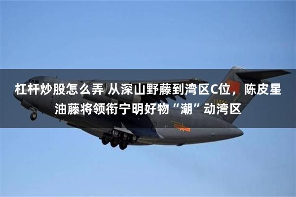 杠杆炒股怎么弄 从深山野藤到湾区C位，陈皮星油藤将领衔宁明好物“潮”动湾区