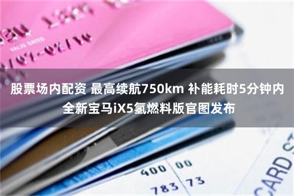 股票场内配资 最高续航750km 补能耗时5分钟内 全新宝马iX5氢燃料版官图发布
